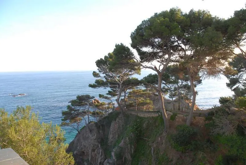 Hotel Cap Roig & Spa By Brava Hoteles Platja d'Aro 4*,