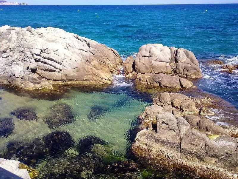 Hotel Cap Roig & Spa By Brava Hoteles Platja d'Aro